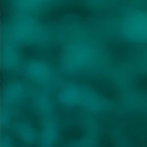 Meet your Posher, Gilberto